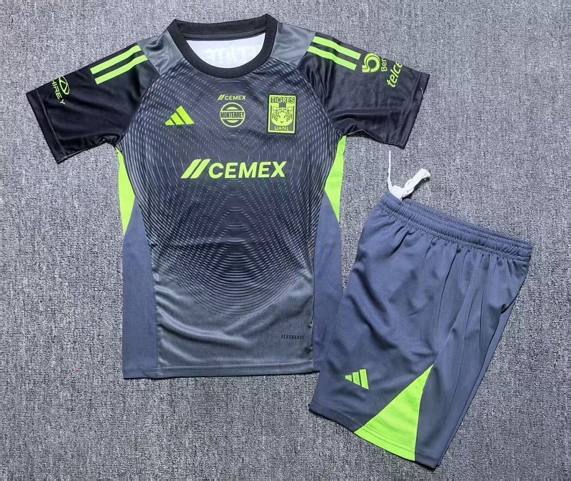 25 Gris Tigres Portero Niño